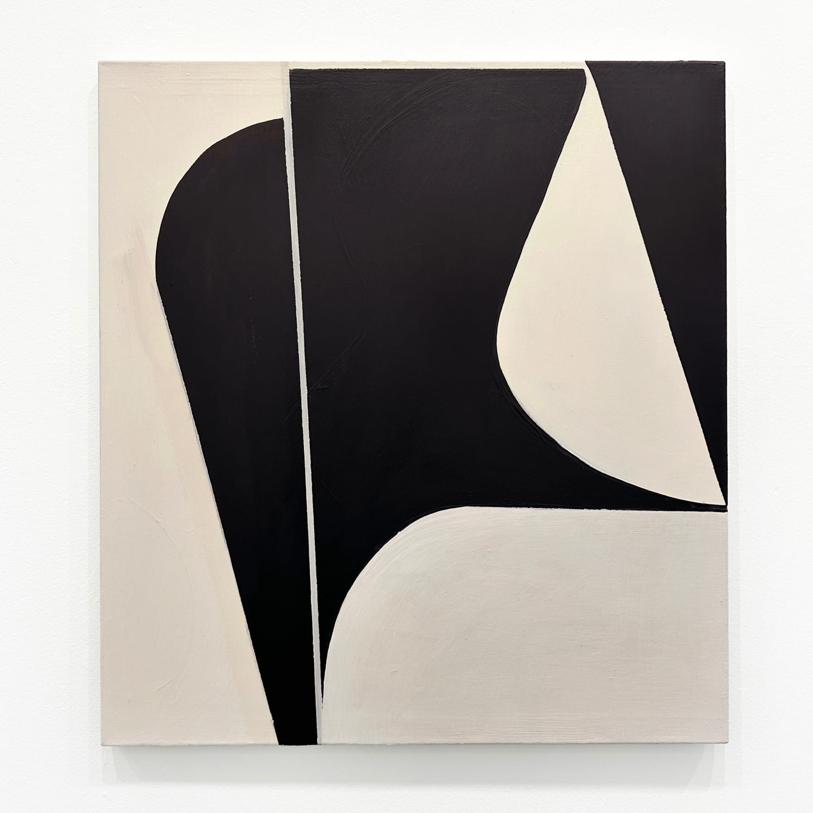 Jai Llewellyn painter