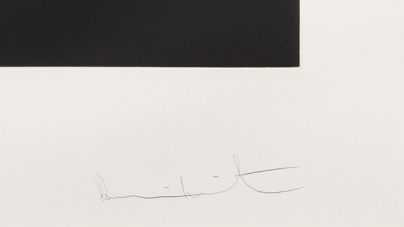 Damien Hirst, Memento 1, 2008