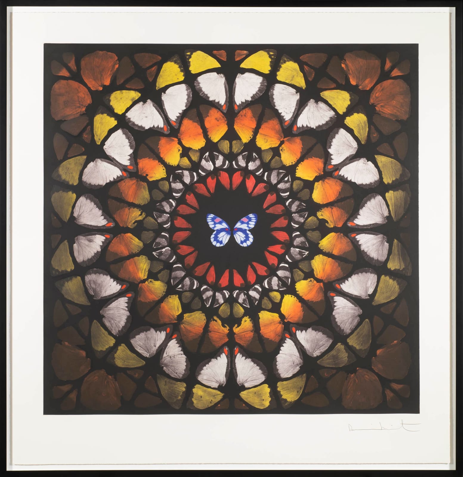 Buy Damien Hirst butterfly prints