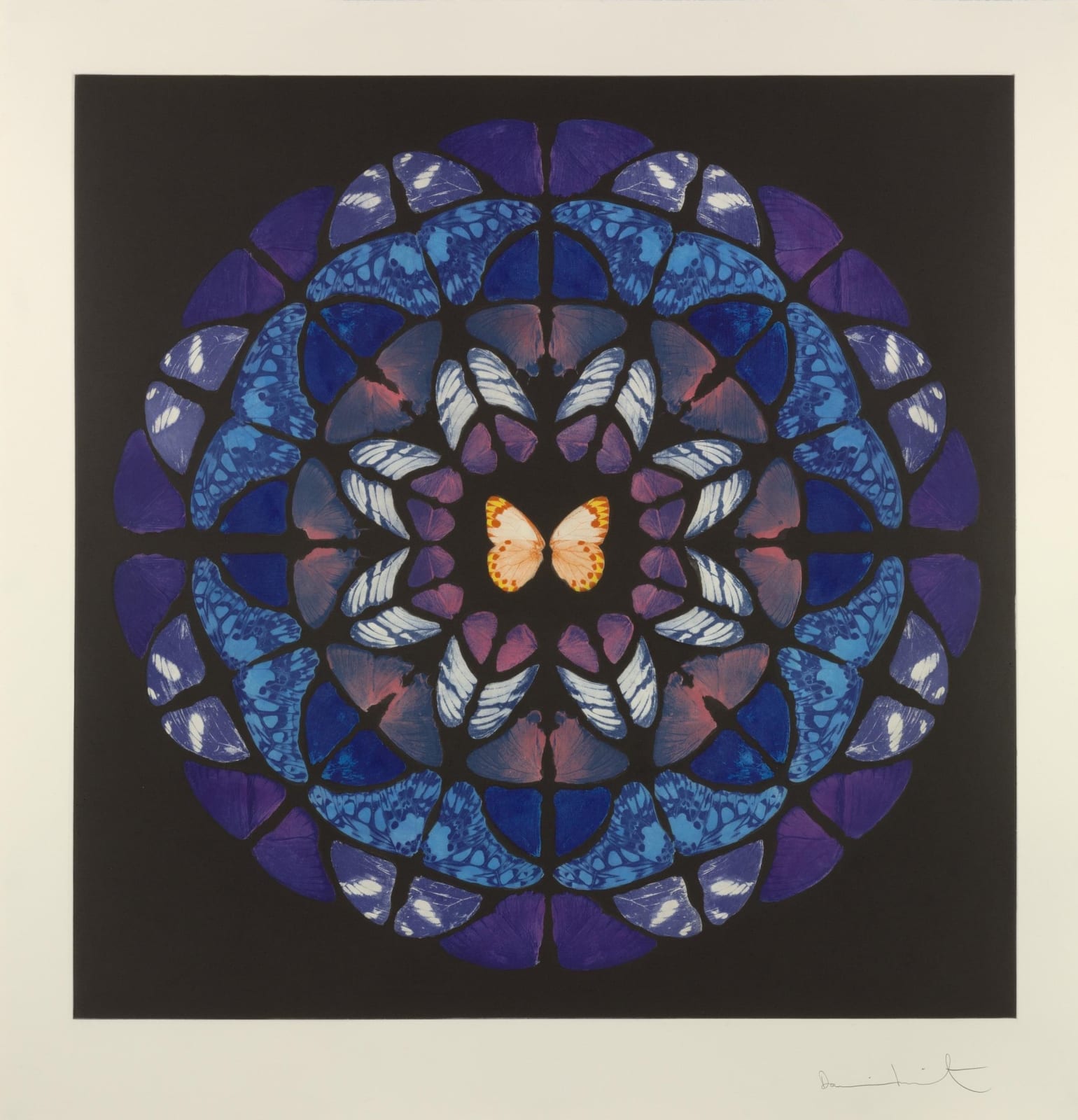 Damien Hirst, Sanctum (Dome), 2009