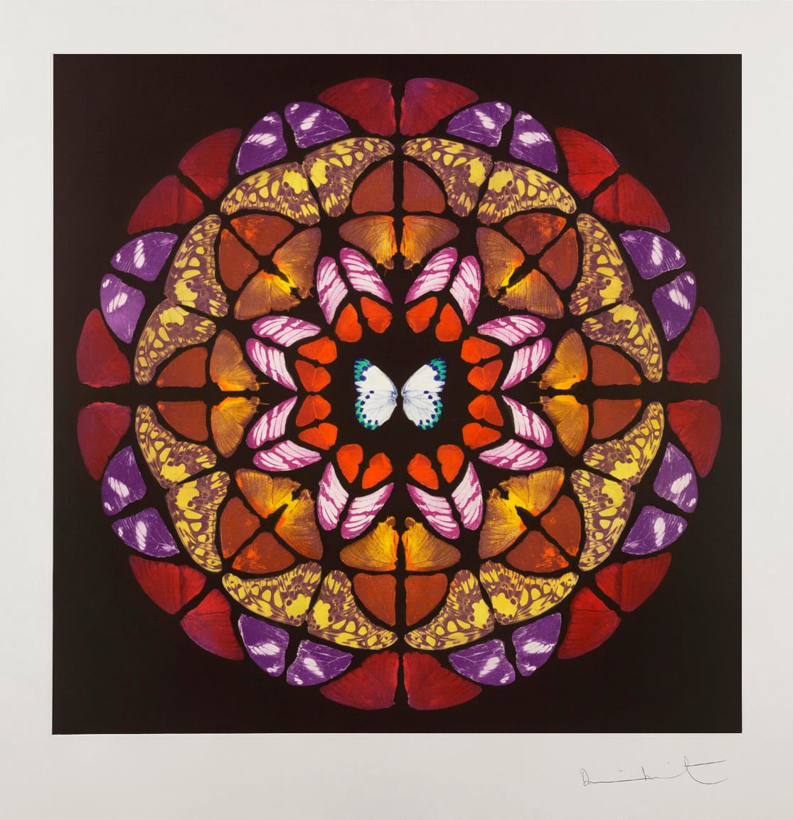 Buy Damien Hirst unique print of butterflies entitled Sanctum Altar signed and framed screen print etching