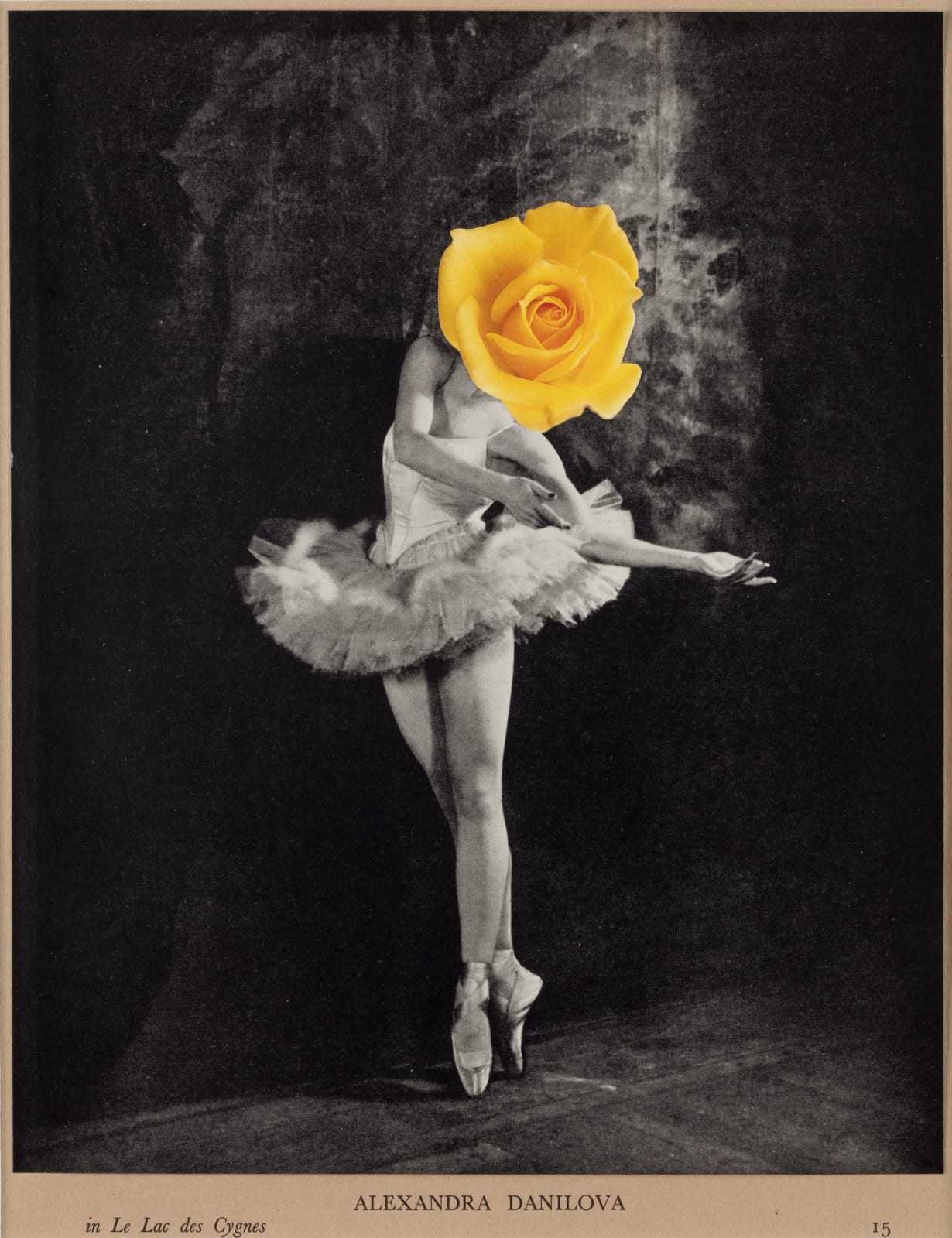 Linder, Alexandra (hybrid), 2017