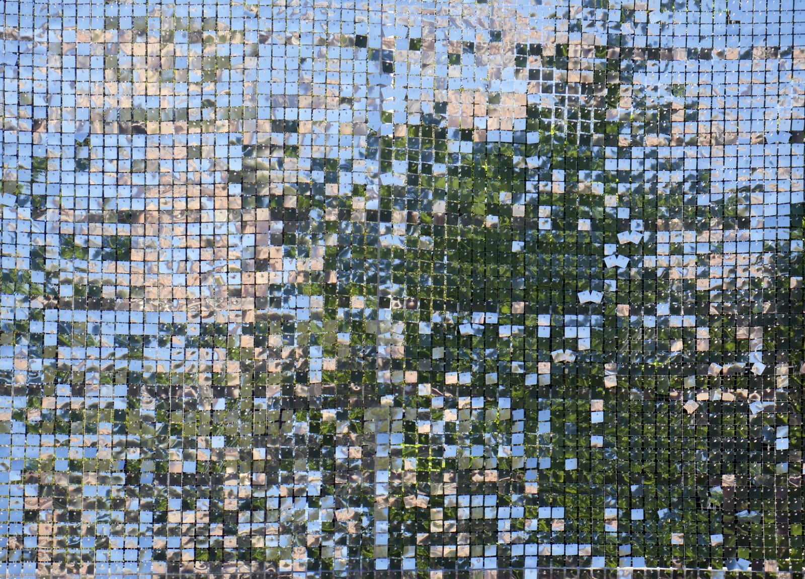 Katarina Löfström, Open Source (Panavision), 2020