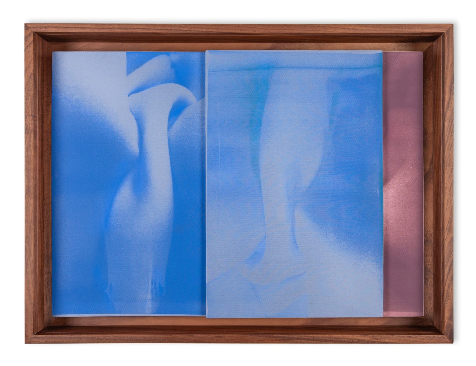 Martín Soto Climent, Snow Bird III, 2024