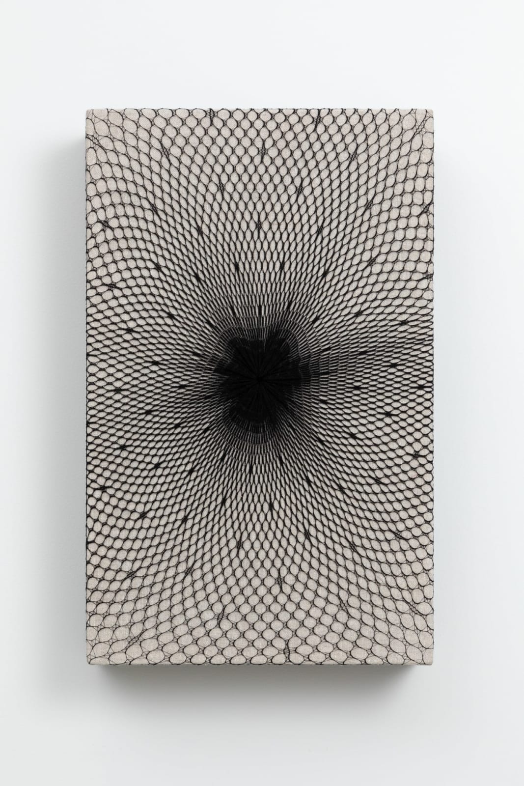 Martín Soto Climent, Origine/ Les plus rares fleurs #3, 2023