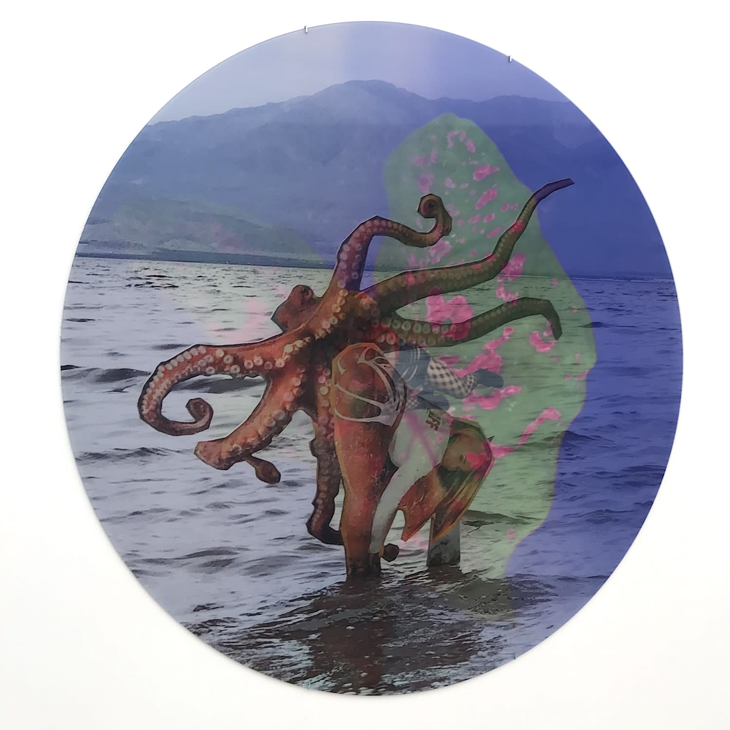 Cecilia Bengolea, Bombom in the Salton Sea, 2020