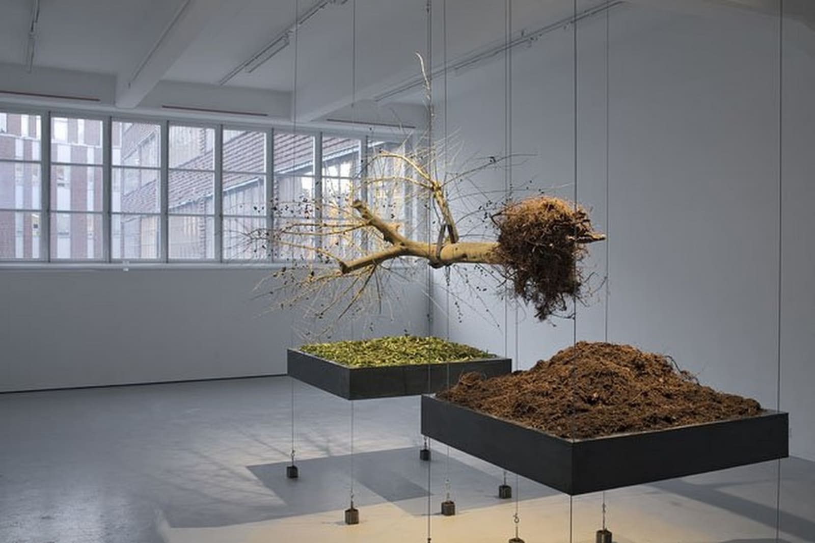 Siobhán Hapaska, Downfall, 2009