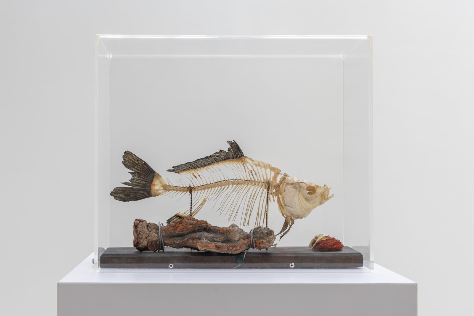 Siri Derkert, Matriarkatets död, 1960