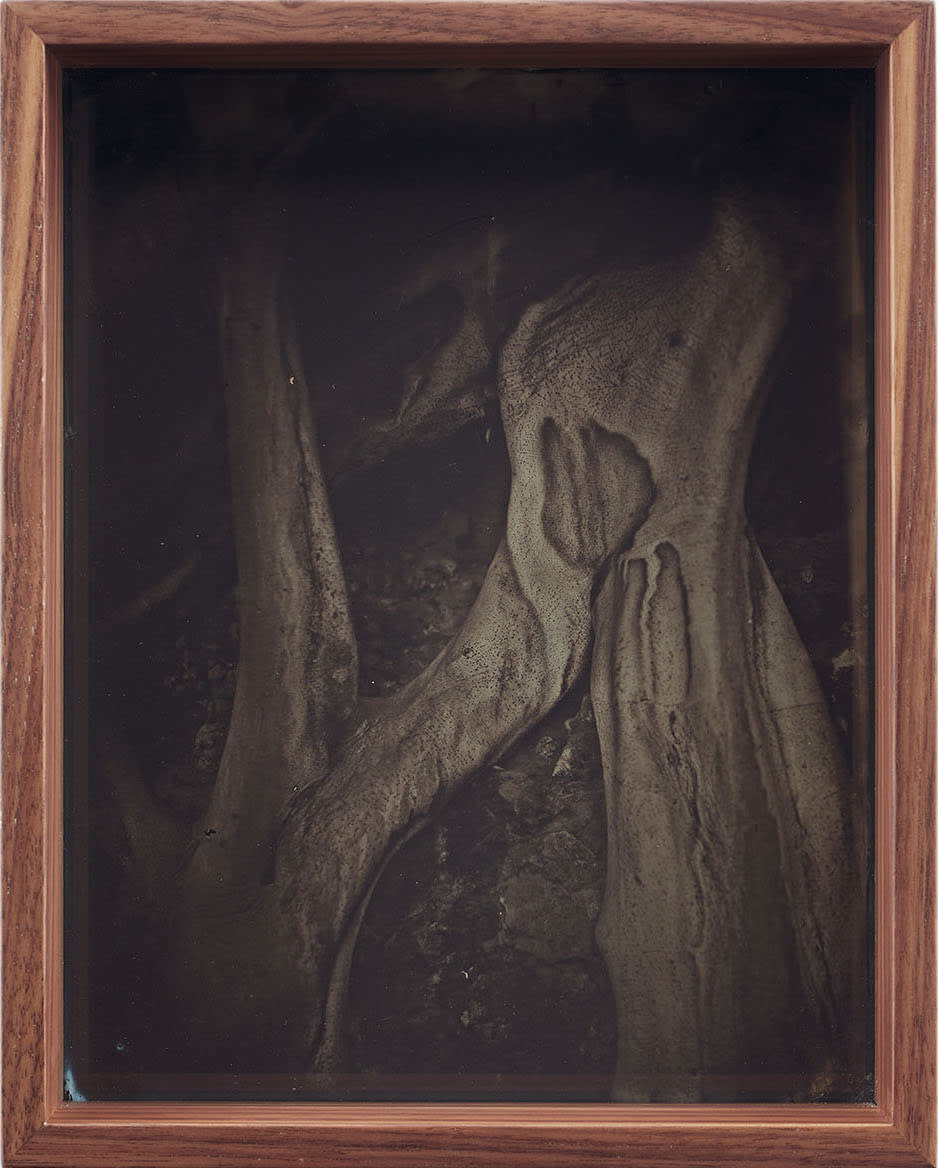 Martín Soto Climent, Detail (Collodion 9), 2020