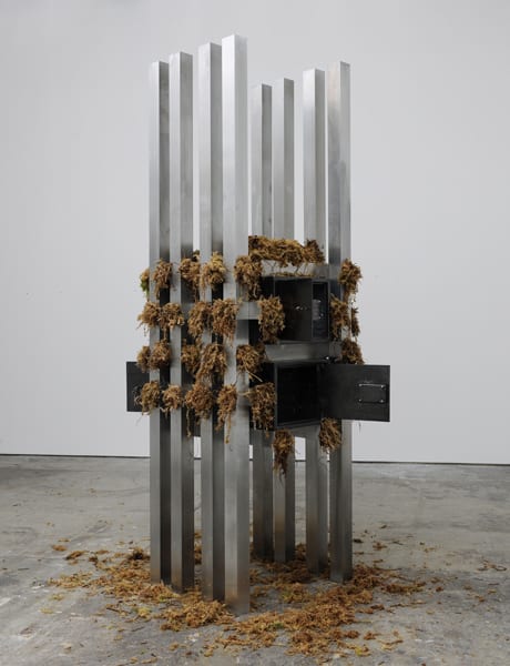 Siobhán Hapaska, The world at daybreak, 2011