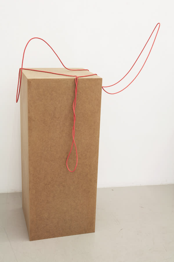 Tony Matelli, Untitled, 2012