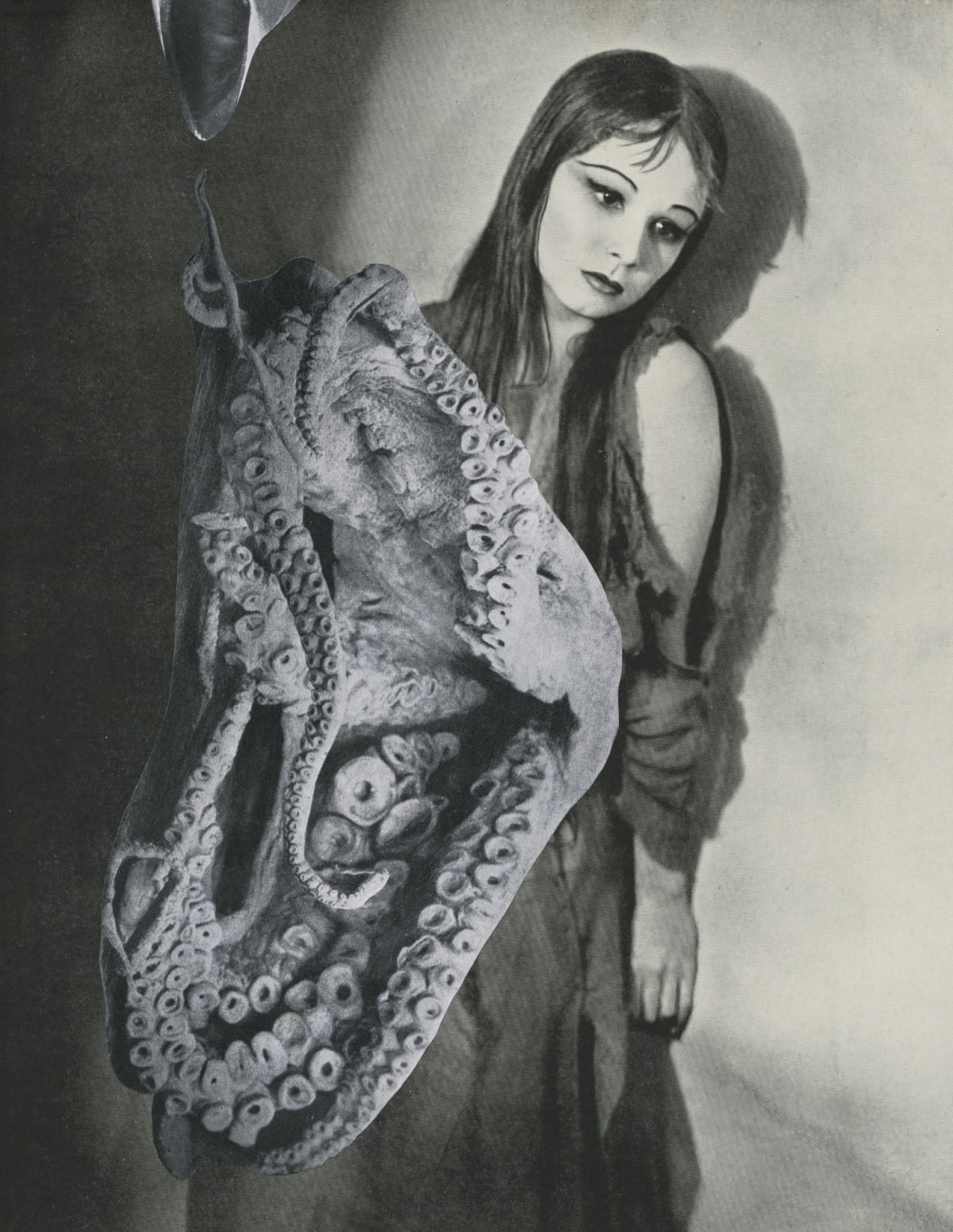 Linder, Post-mortem: Nini (i), 2016