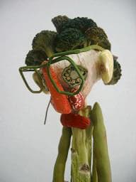 Tony Matelli, Veg Man, 2007