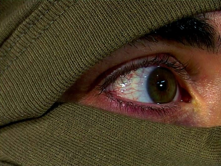 Annika Larsson, Fire, 2005