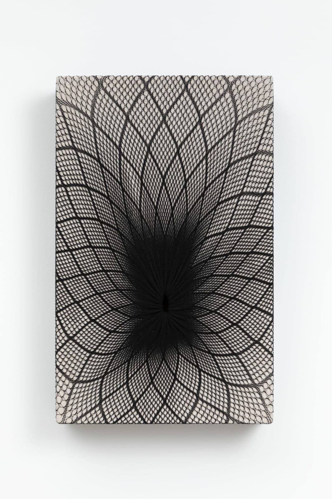 Martín Soto Climent, Origine/ Les plus rares fleurs #2, 2023