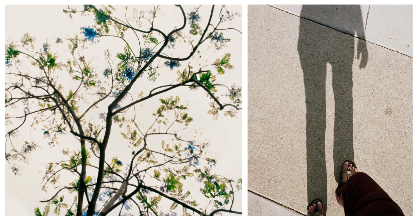 Uta Barth, ... to walk without destination and to see only to see. (Untitled 10.3), 2010