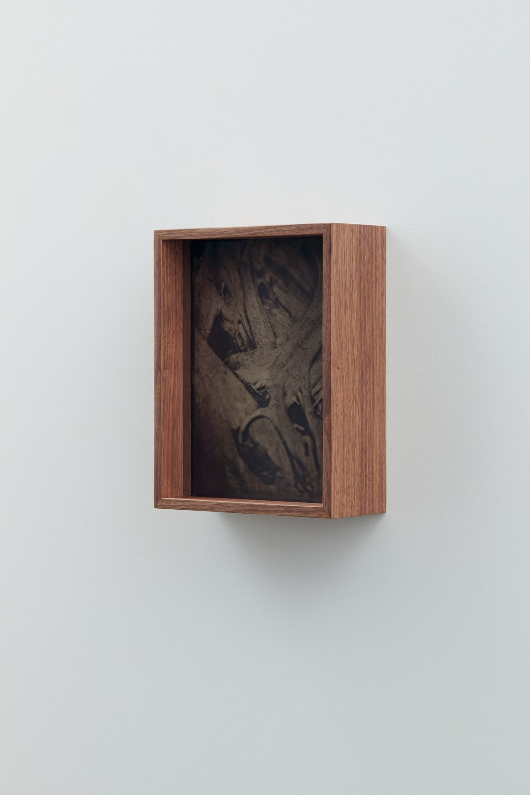 Martín Soto Climent, Detail (Collodion 2), 2020