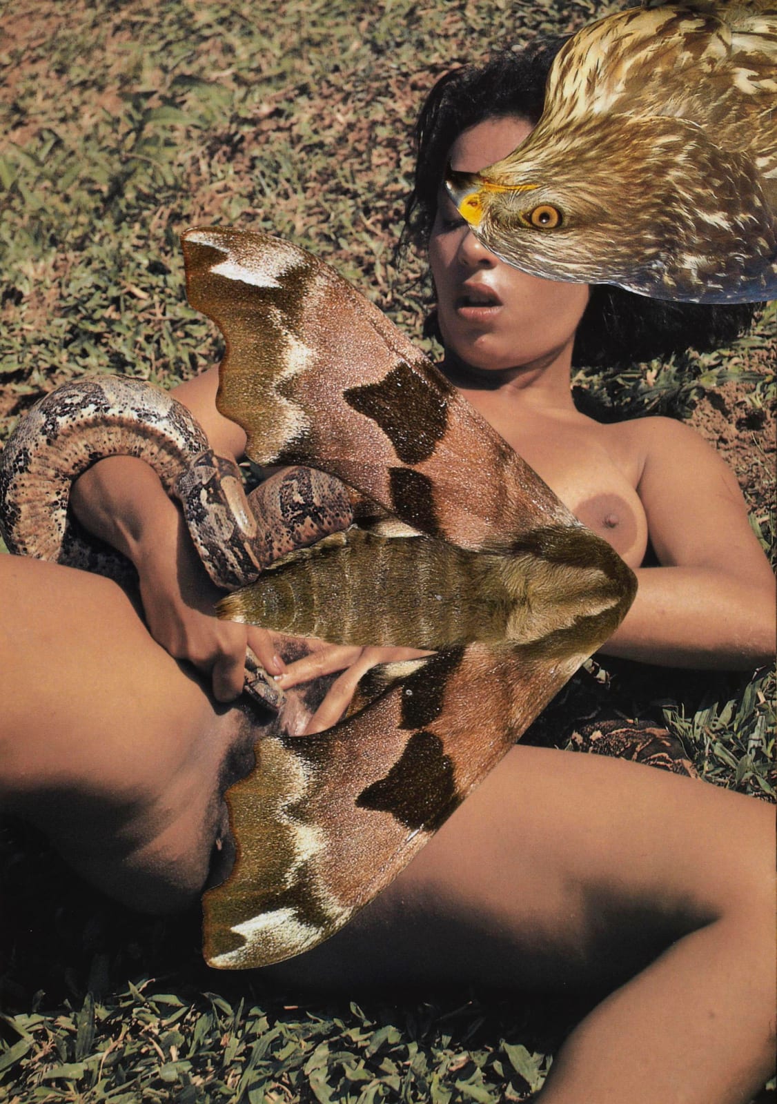 Linder, Physio-Kundalini Syndrome I, 2011