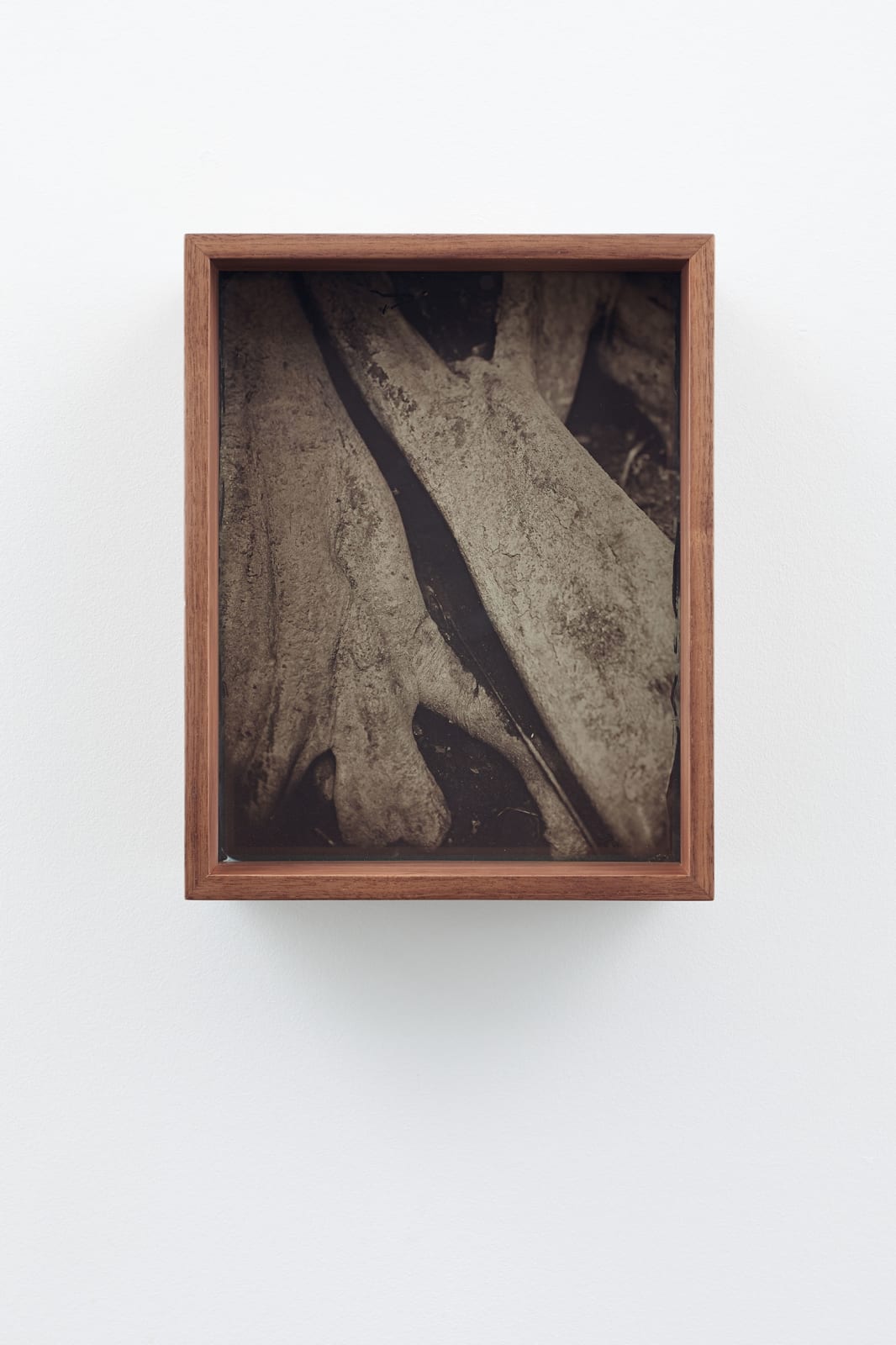 Martín Soto Climent, Detail (Collodion 3), 2020