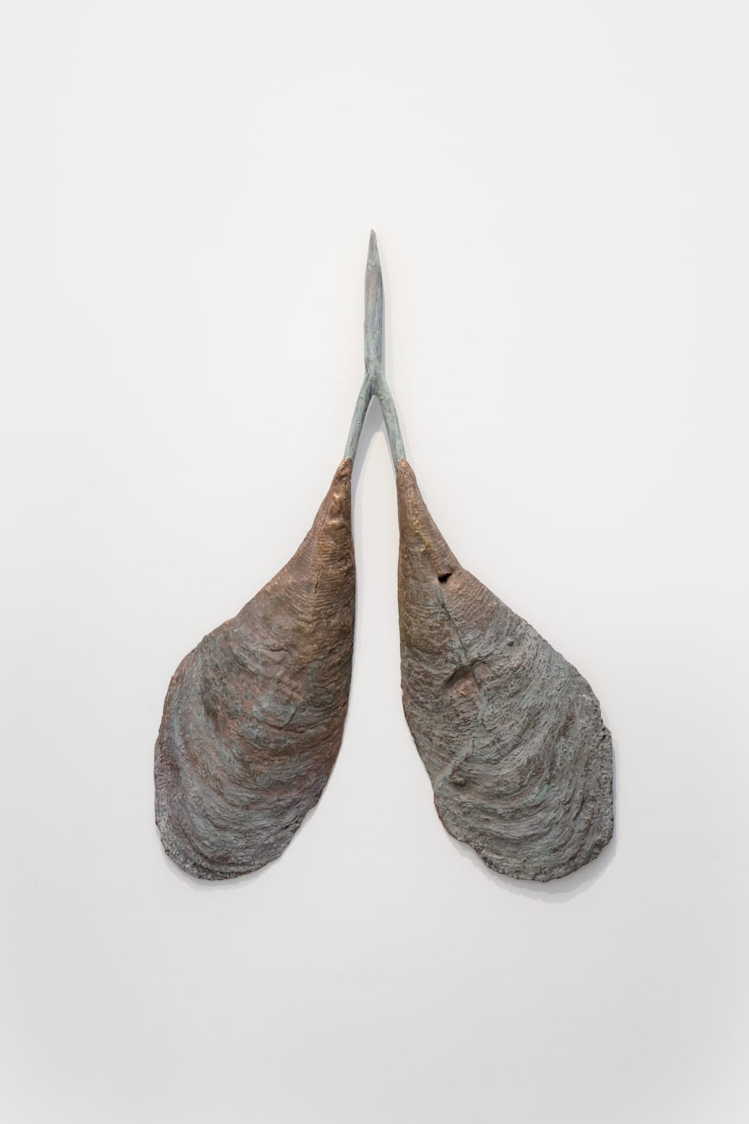 Sabine Mirlesse, Divining lungs, no. 5, 2024