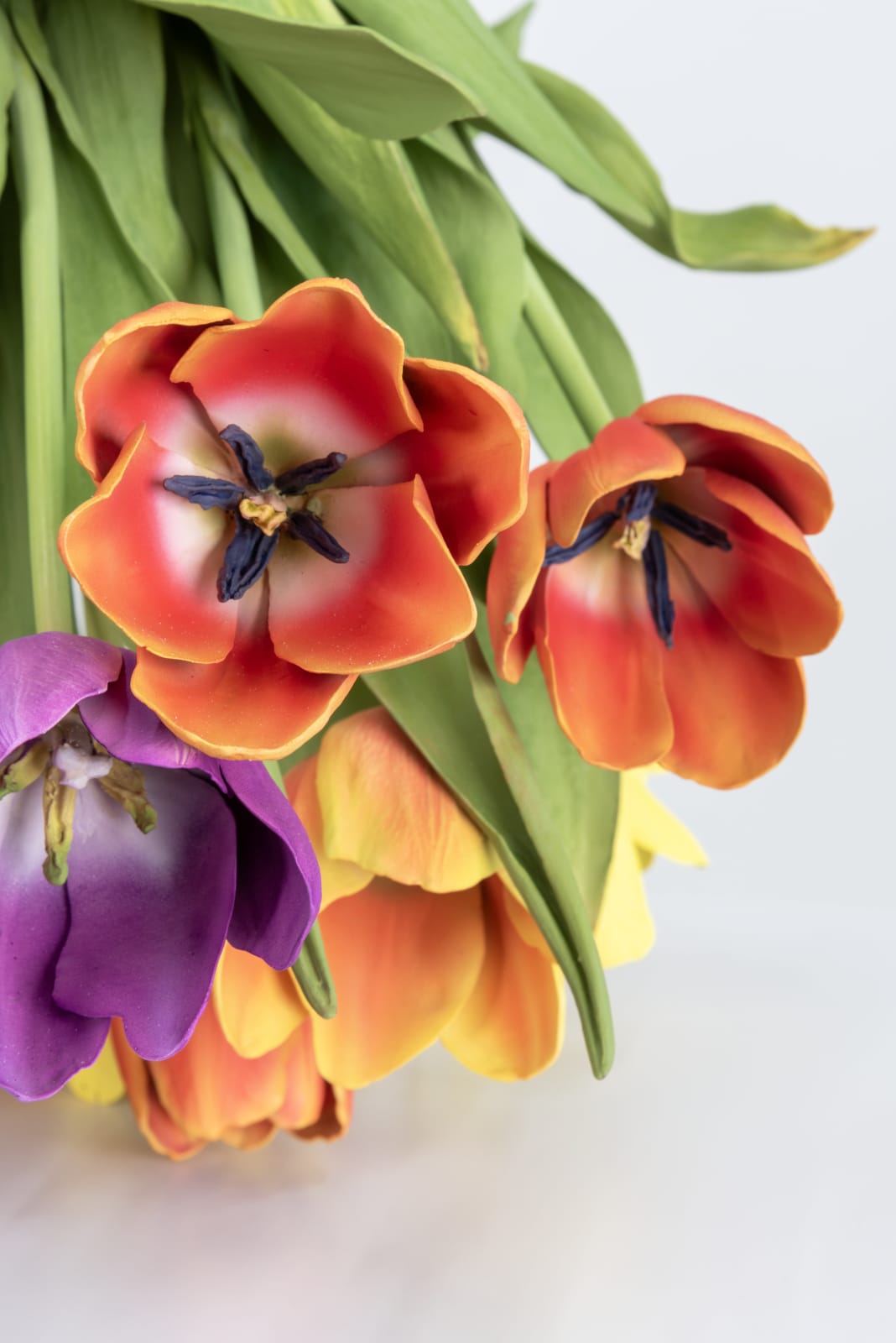 Tony Matelli, Arrangement, 2023