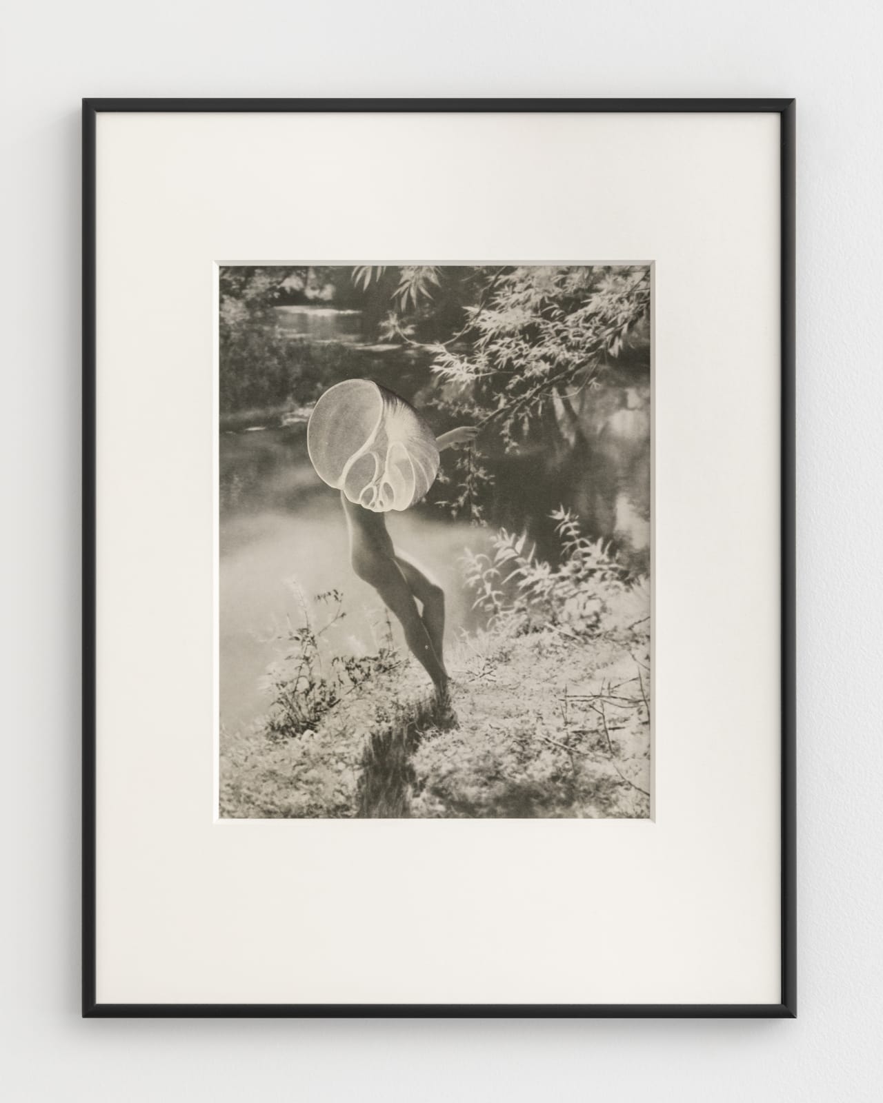 Linder, The Lotus of the Palace of Air, 2022