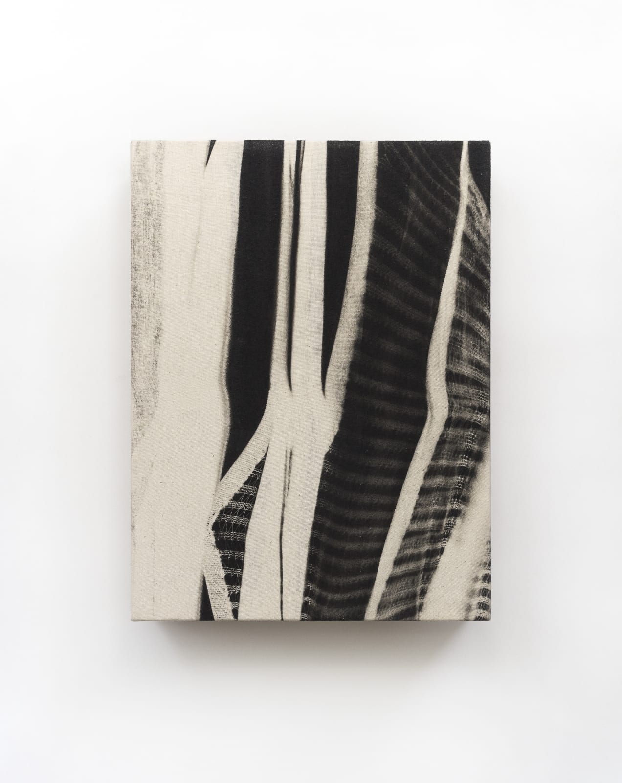 Martín Soto Climent, Llamas de Lluvia II (Phantogram), 2020