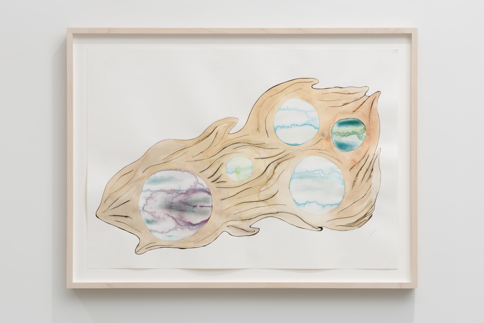 Carin Ellberg, Arter flyttar sig (Species Moving) 1, 2025