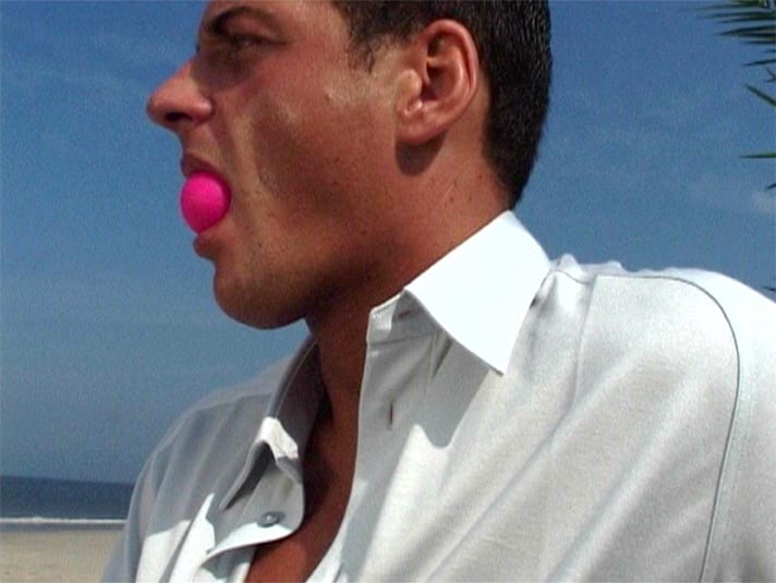 Annika Larsson, Pink Ball, 2002