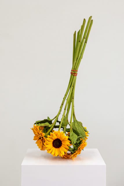 Tony Matelli, Arrangement, 2023