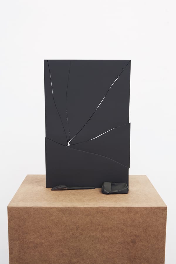 Tony Matelli, Pane (5), 2012