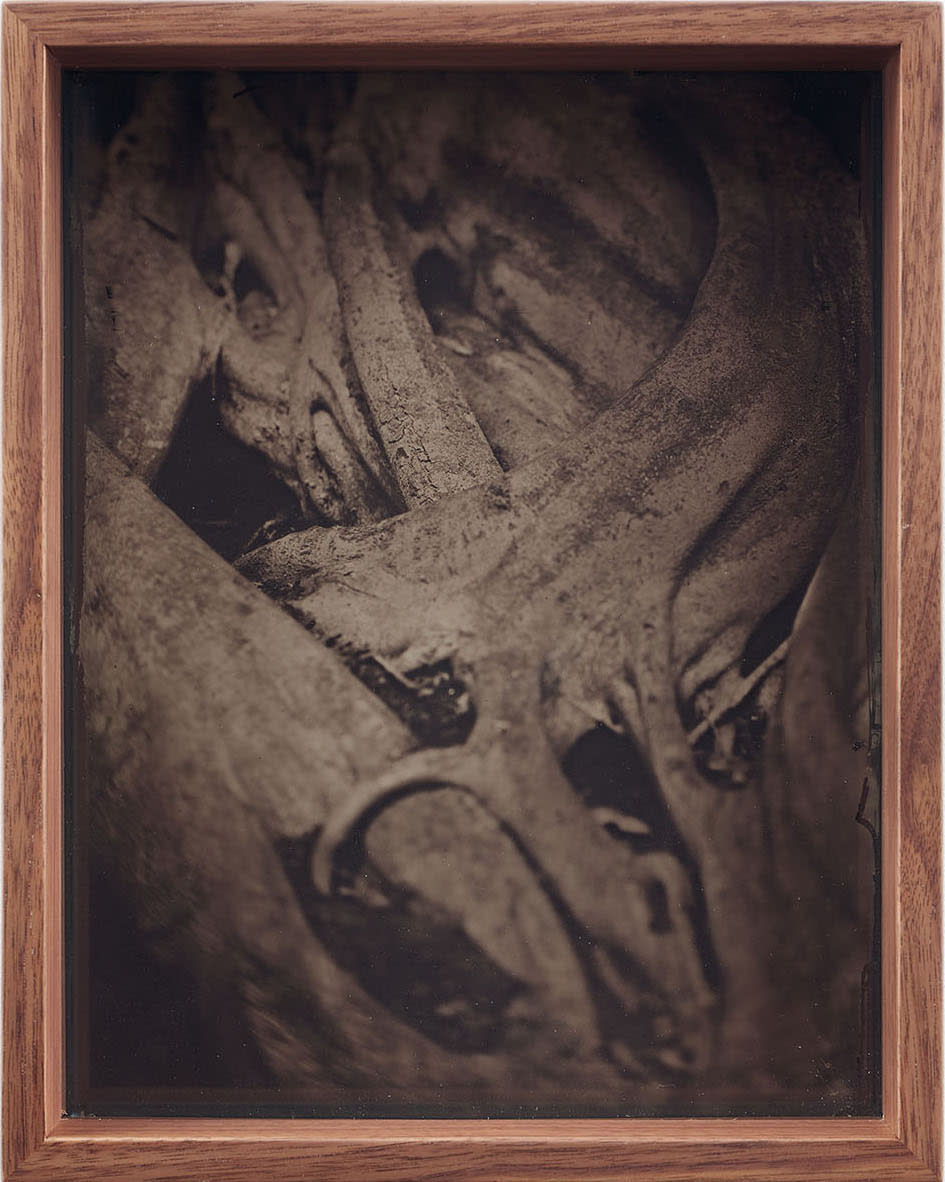 Martín Soto Climent, Detail (Collodion 2), 2020