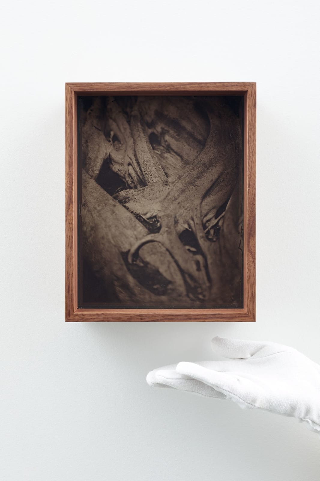 Martín Soto Climent, Detail (Collodion 2), 2020