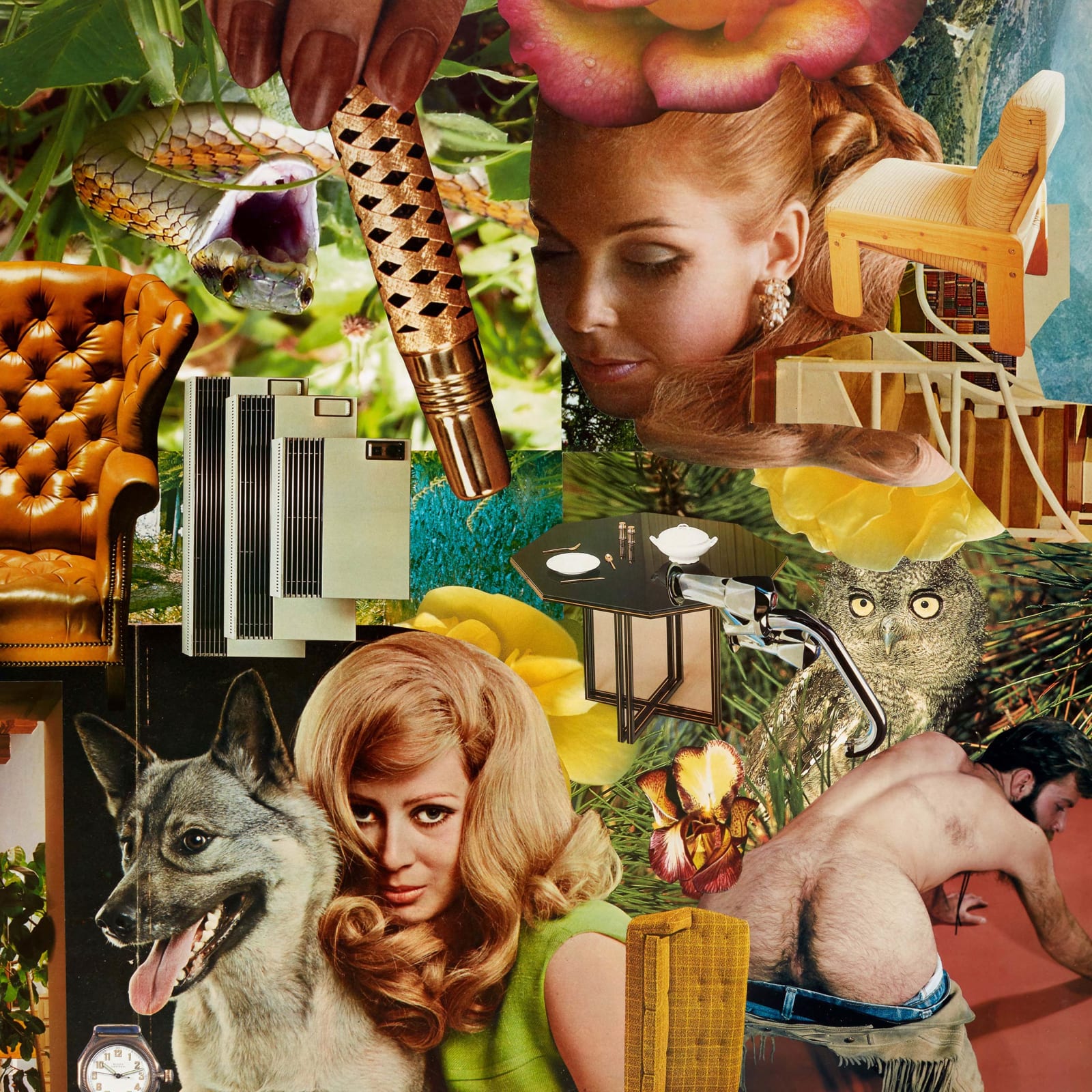 Linder, Herbs and charms that heal, 2021