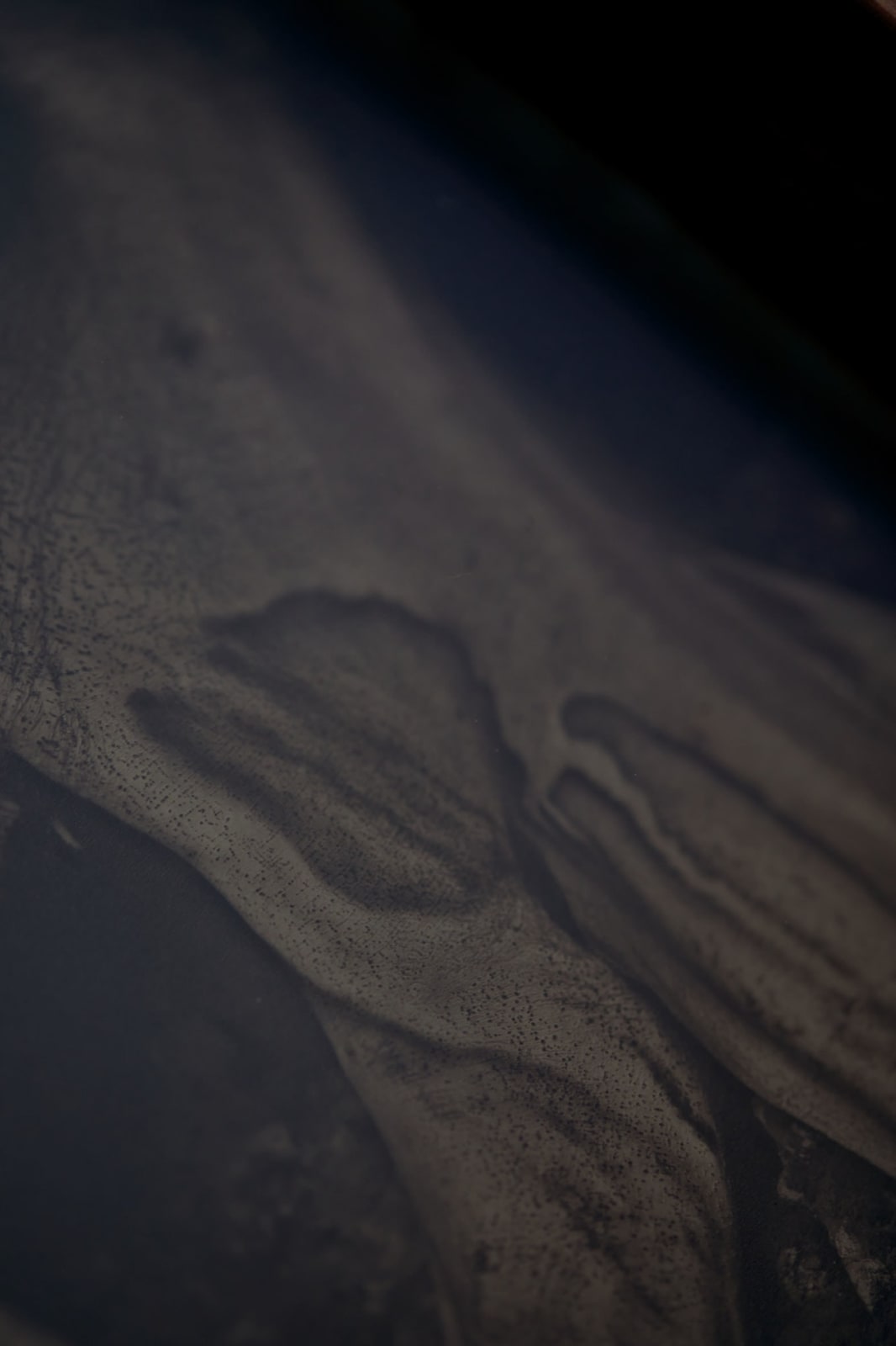 Martín Soto Climent, Detail (Collodion 2), 2020