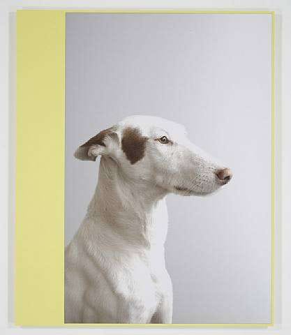 Xavier Veilhan, Podenco, 2007