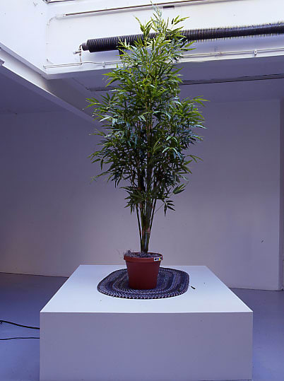 Tony Matelli, The Oracle, 2003