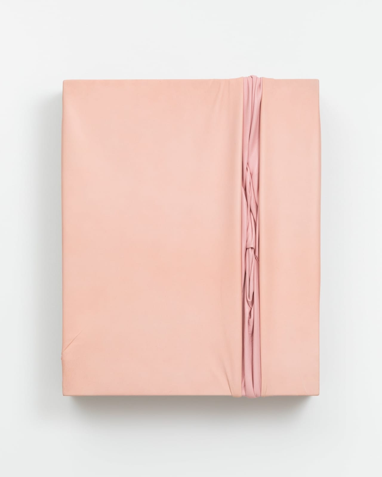 Martín Soto Climent, Caché derrière le rideau de secrets , 2023