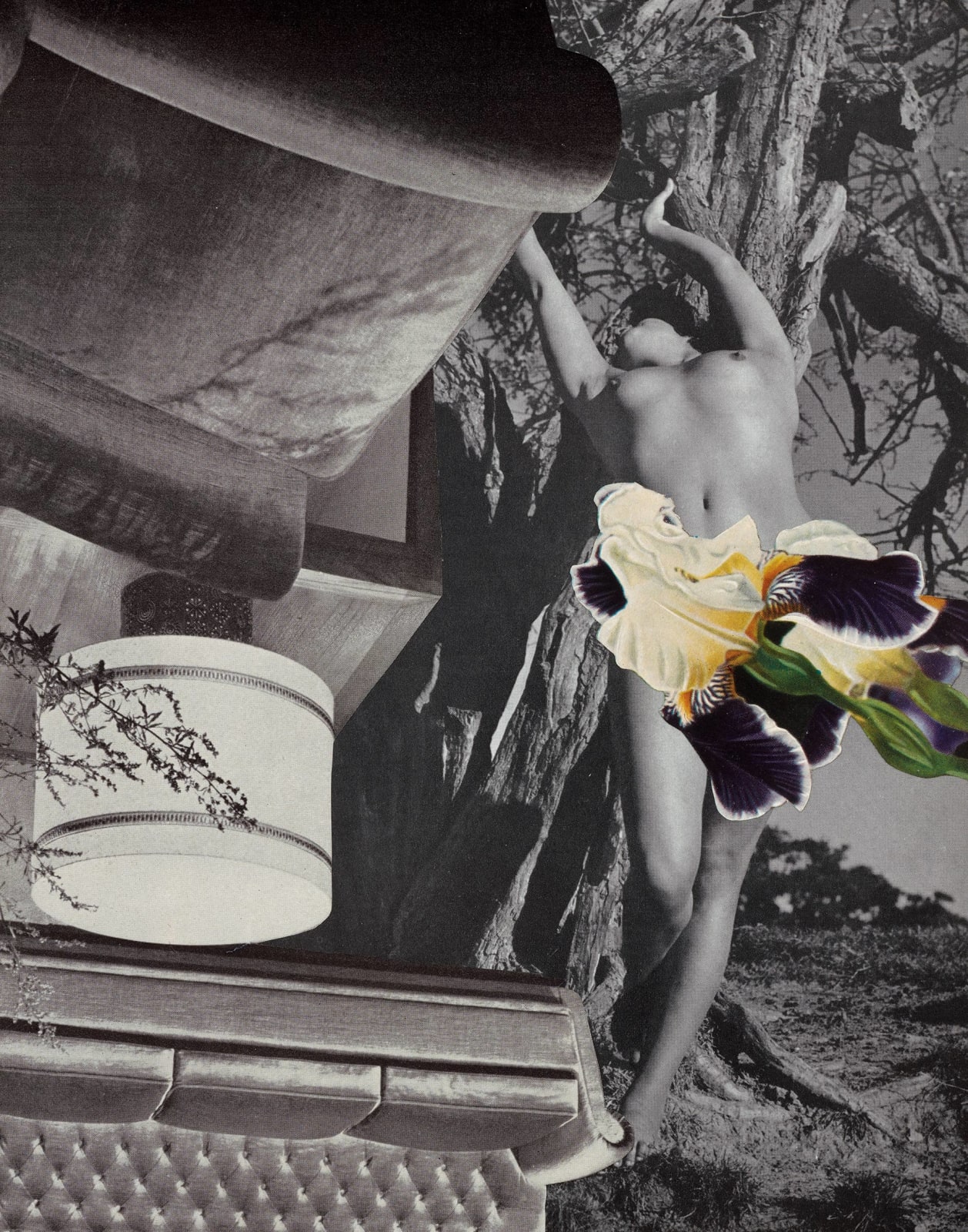 Linder, Fatal Womb, 2020