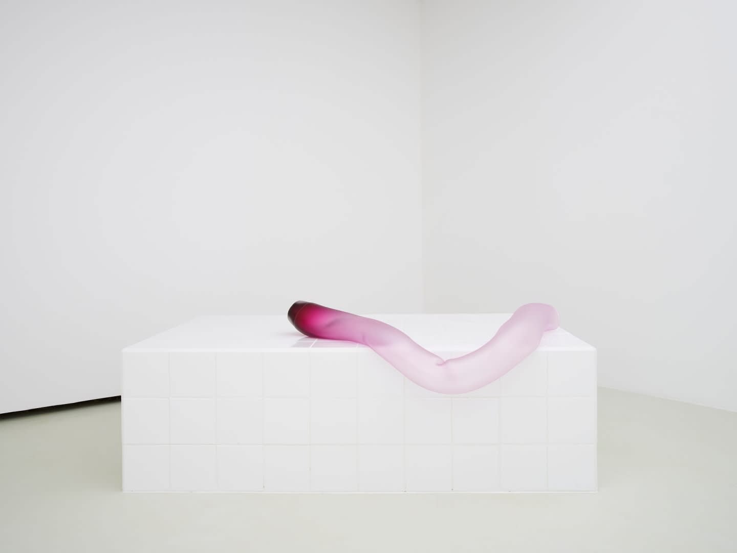 Dana-Fiona Armour, Pneumatophore #1, 2022