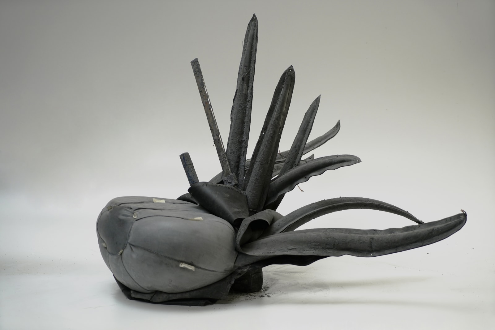 Klaus Weber, Untitled (Unpeeled clamp), 2018/2019