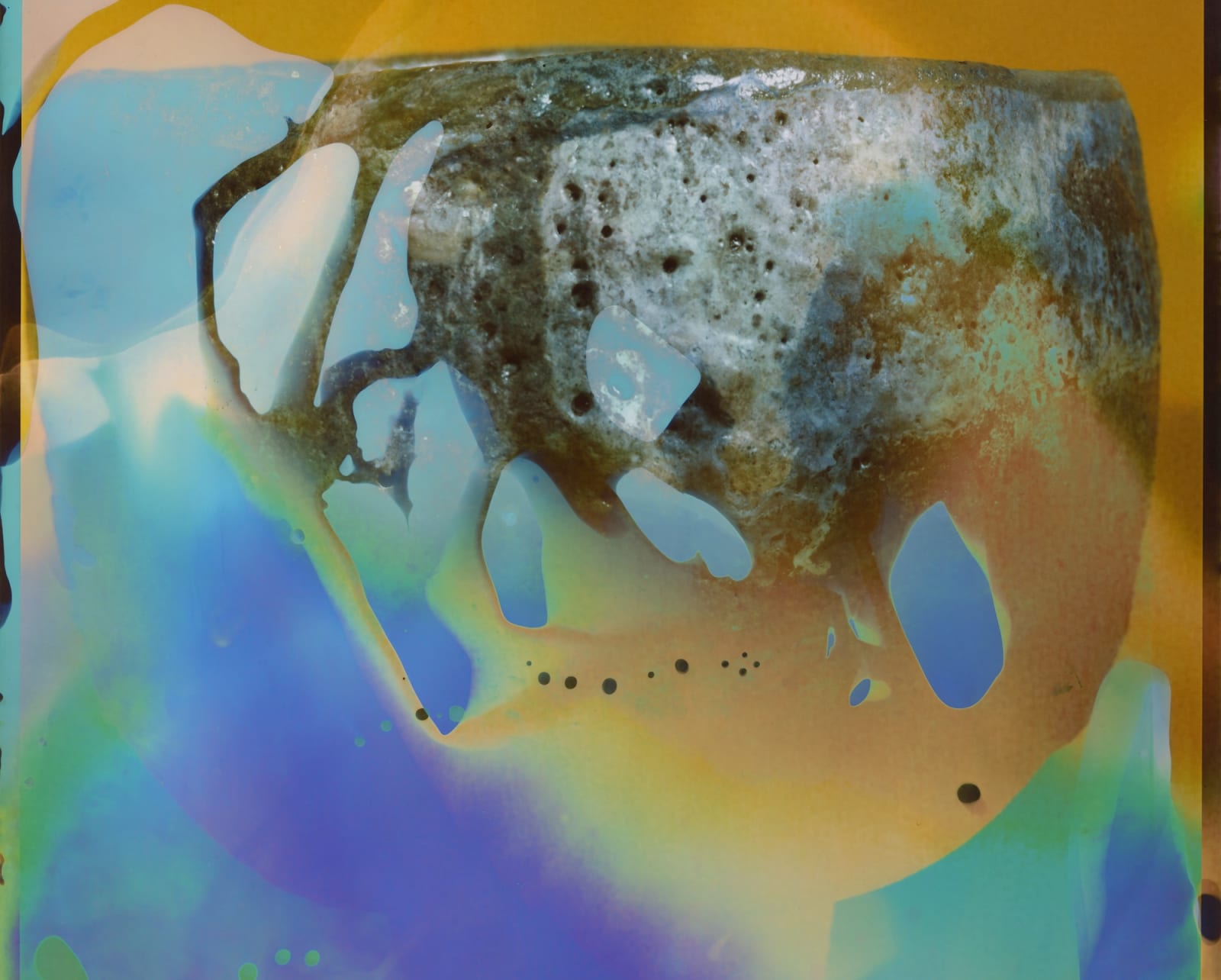 João Maria Gusmão, cp10, 2022