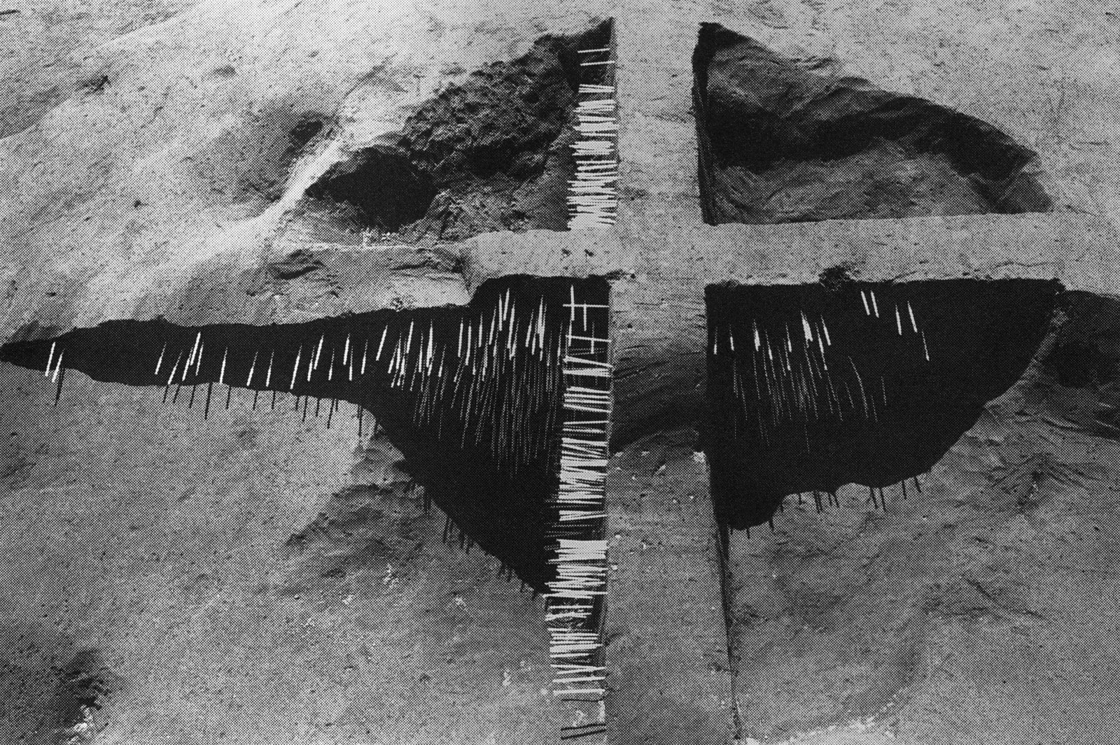 Peter Piller, HOE 26, 2020