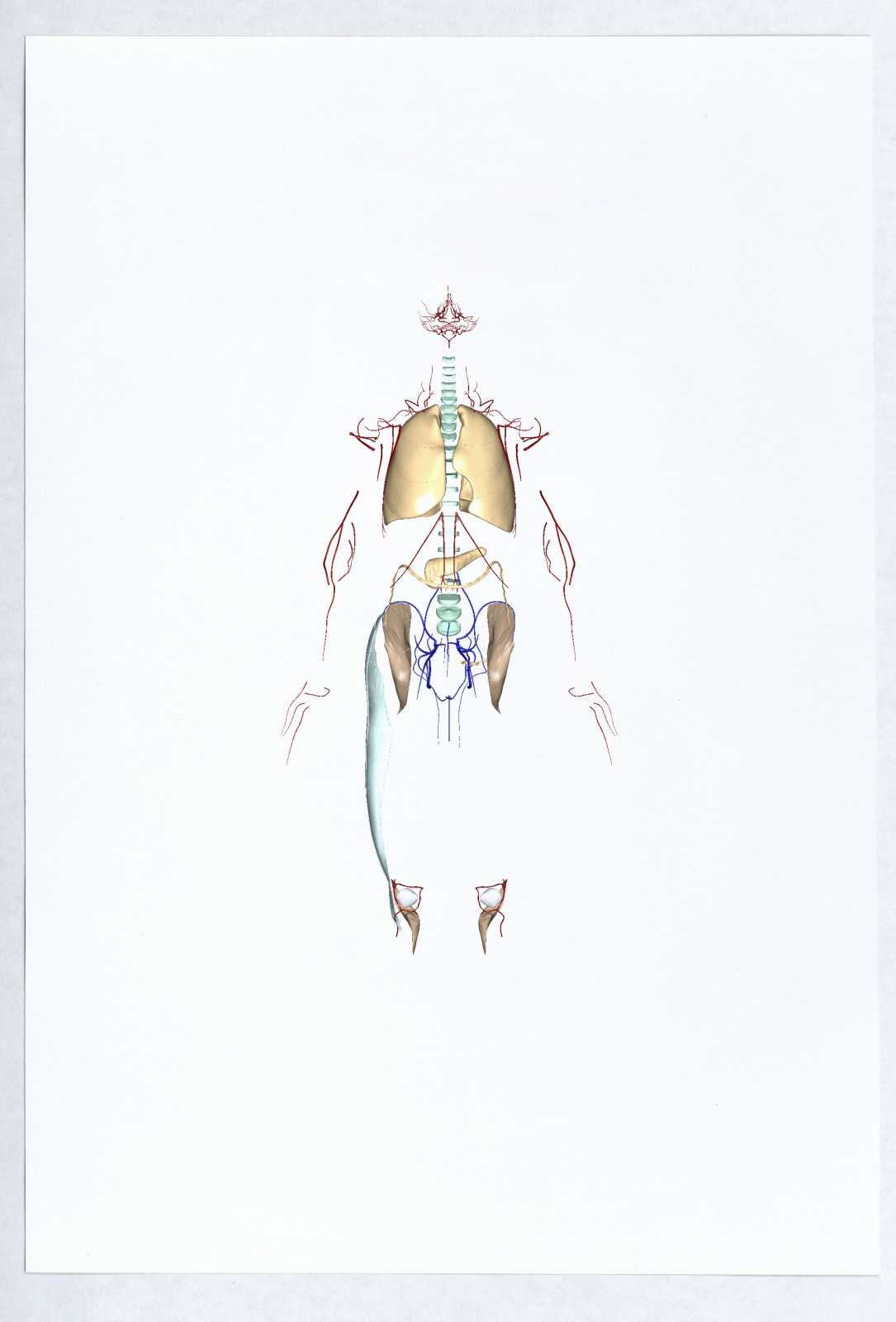 Валерия Абендрот, Pancreas, 2020