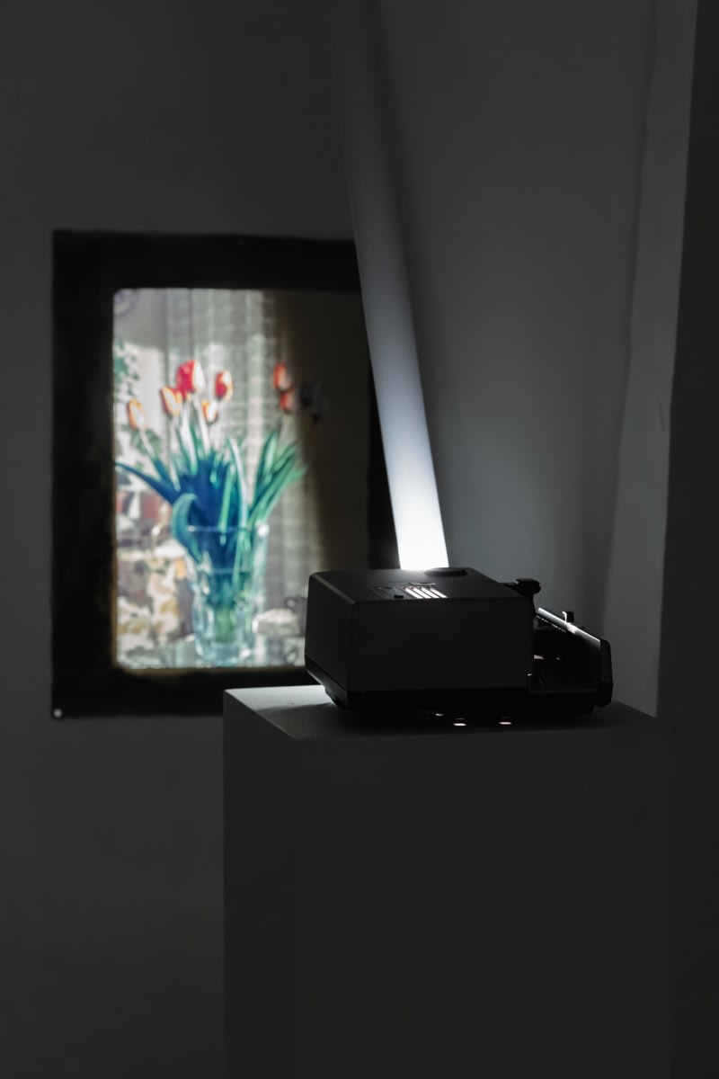 Евгений Гранильщиков, Tulips | Тюльпаны, 2025