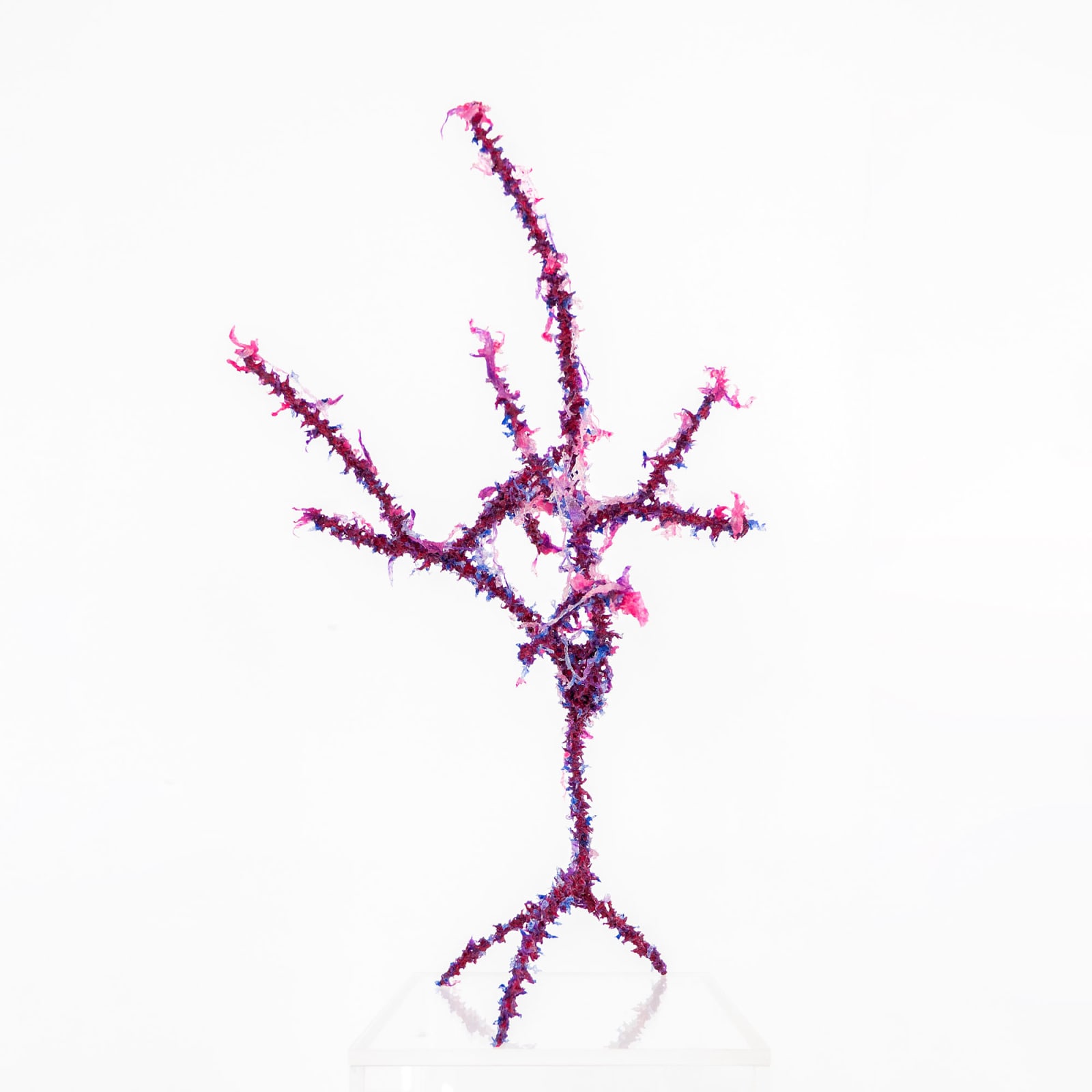 Aljoscha, Object #269, 2018