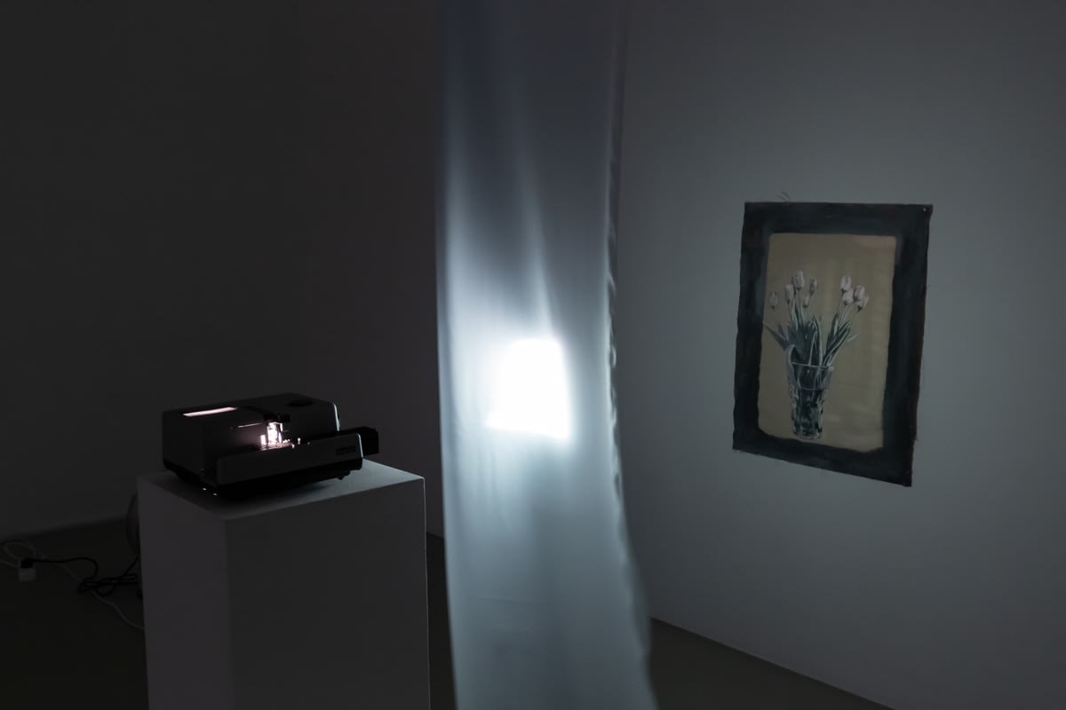 Евгений Гранильщиков, Tulips | Тюльпаны, 2025