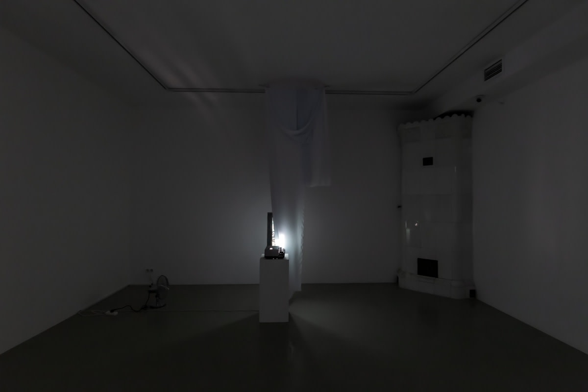 Евгений Гранильщиков, Tulips | Тюльпаны, 2025