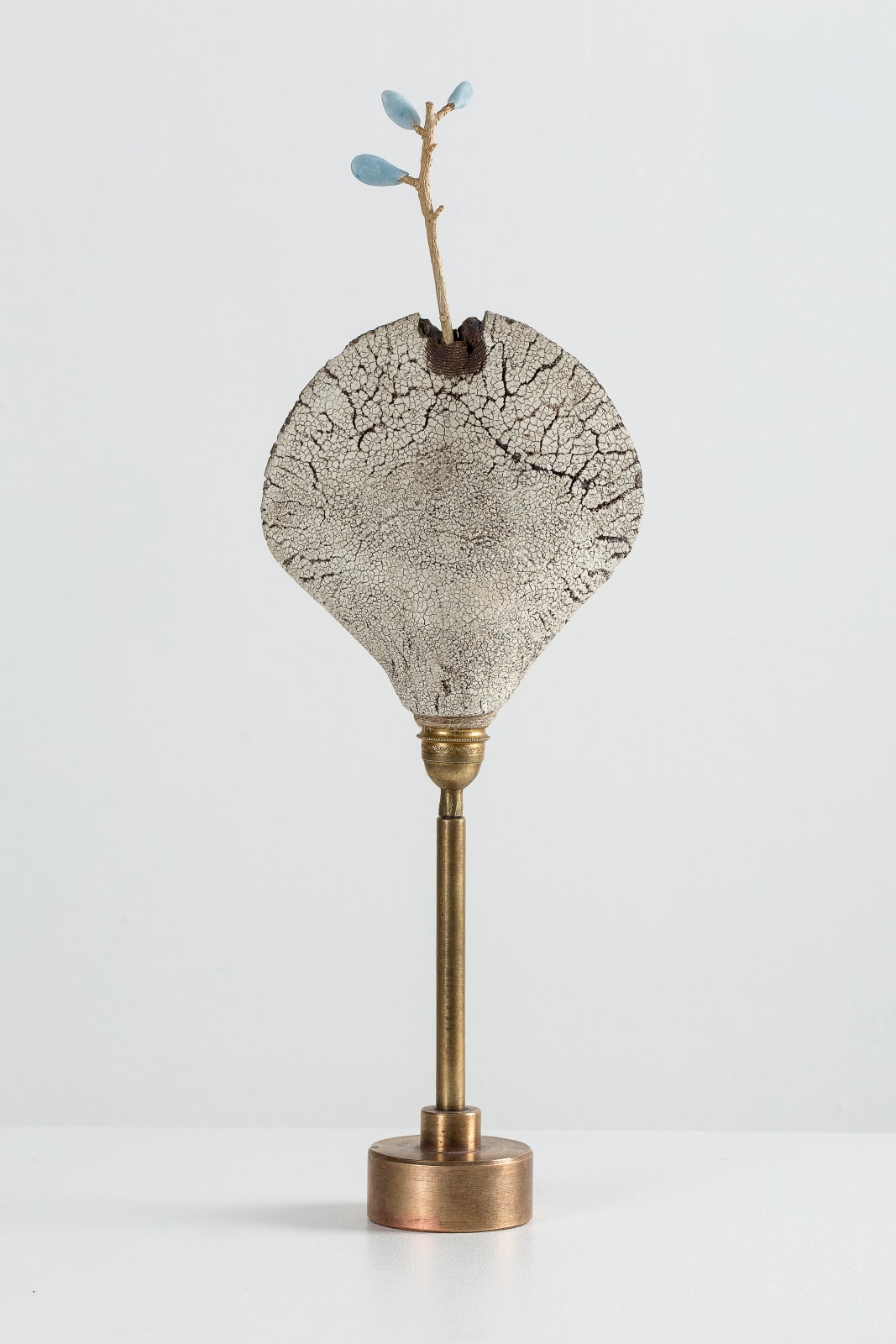 Илья Федотов-Фёдоров, Artefact of the 21st century - method of use unknown, therefore its owner uses it for a vase | Артефакт из 21 века - применение не известно, поэтому владелец использует его как вазу, 2018