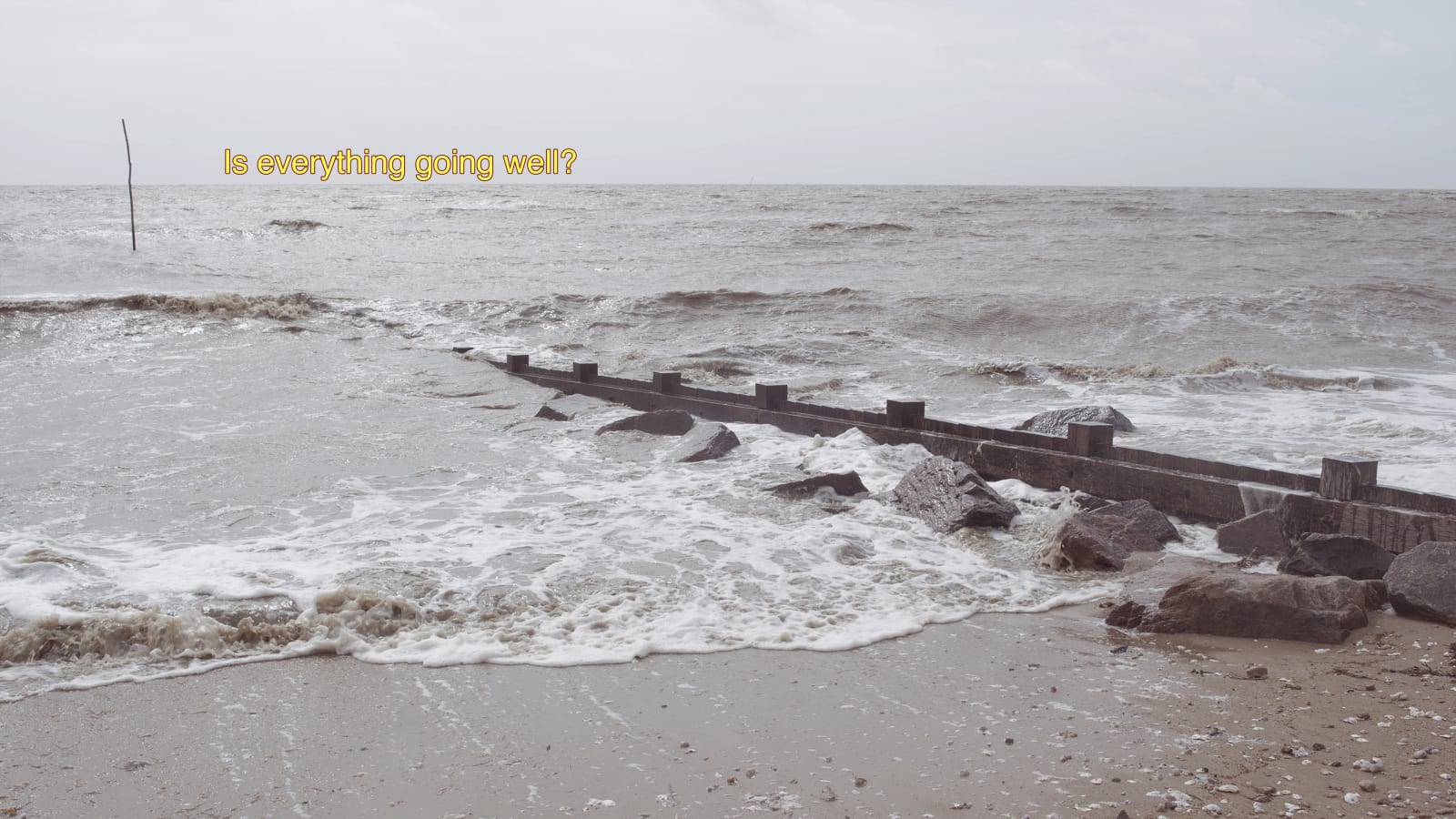 Евгений Гранильщиков, Is everything going well?, 2024